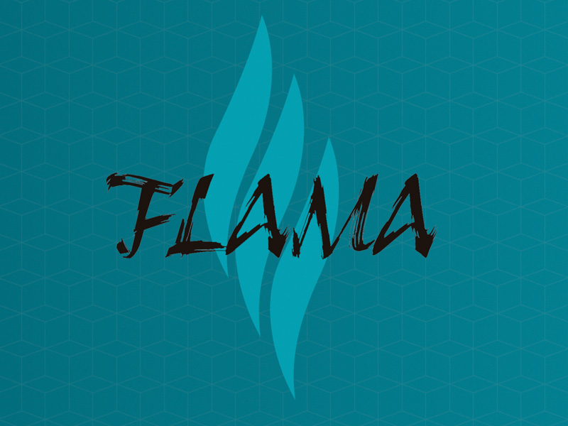 (c) Clinicaflama.com.br